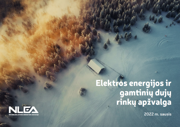 Naujausia NLEA apžvalga: 2021-ieji energetikoje – iššūkių metai